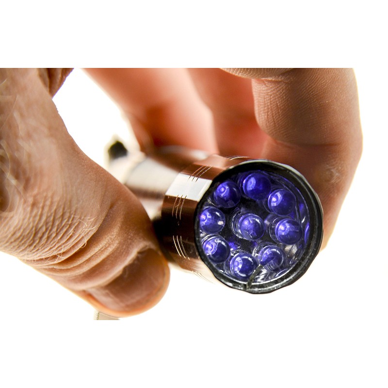 PROtastic® UV Ultra Violet Torch Flashlight 395nm - Spot Fraud
