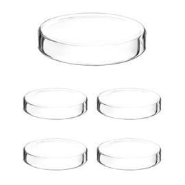 QWORK Glass Petri Dishes with Lid, Thicken, 120mm x 26mm, 5 Pack
