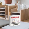 Mad Scientist Decorations Classroom Science Sign, Chemistry Laboratory Classroom Wooden