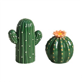 Bicuzat - Juego de saleros y pimenteros de cerámica con forma de cactus pintados a mano, juego de 2 piezas
