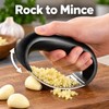 Stainless Steel Garlic Press Rocker – Manual Garlic & Ginger