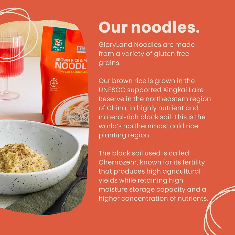 Gloryland Brown Rice and Millet Noodles (10oz) - Pack of