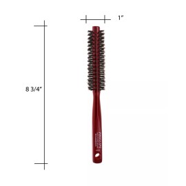 Phillips Brush Rounder #1 Light Handle Brush 1" Round (RD-1)