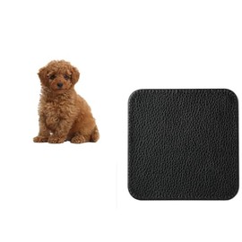 Set Of 4 Toy Poodle Dog Brown Family Pet synthetic Leather Square Coasters And Gift Box