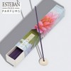 ESTEBAN Esprit de Natural Lotus Sticks 40 Sticks Combining French