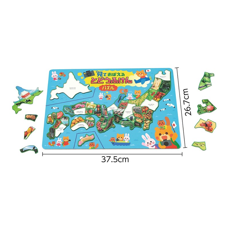 Artec 11955 Remembering to See and Use Soap Puzzle with