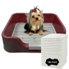 PS KOREA] Indoor Dog Potty Tray – with Protection Wall