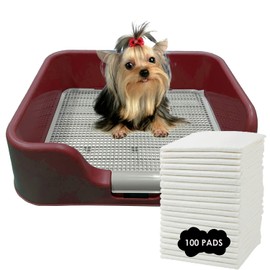 PS KOREA] Indoor Dog Potty Tray – with Protection Wall Every Side for No Leak, Spill, Accident - Keep Paws Dry and Floors Clean (Pink) + Pee PAD 100 PCS