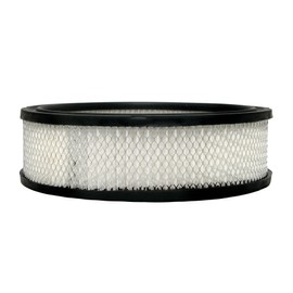 ACDelco GM Original Equipment A773C Air Filter