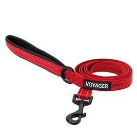 Best Pet Supplies Voyager Reflective Dog Leash with Neoprene Handle, Supports Small, Medium, Cute Heavy Duty for Walking, Running, Training - Red, (5/8'' x 5ft) (LS015-RDW-S), Leash (5/8" x 5ft)
