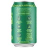 Fresh Fizz Sodas Organic Soda - All Natural Soda Sweetened