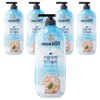 Organist Himalayan Pink Salt Body Wash Forest Mint Scent, 865ml, 5 pieces / 오가니스트 히말라야 핑크솔트 바디워시 포레스트 민트향, 865ml, 5개