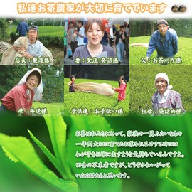 Kimuraen 1 Liter Cold Brew Sencha Kakegawa Deep Steamed Tea Ichiban Tea Pack, 0.2 oz (6 g) x 15 Bags