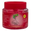 Gel Para Peinar Árbol Verde Fijador Natural Frutos Rojos 250