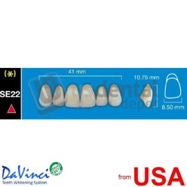 DAVINCI SE22 Upper Anterior A2 (1 X 6) - Taper -  Davinci 4 layers Dentur 112642