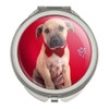 GRAPHICS & MORE Bowtie Valentine Puppy Compact Travel Purse Handbag