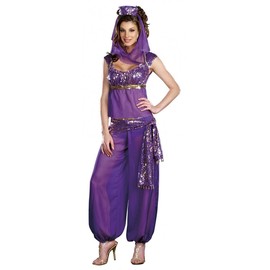 Ladies Arabian Princess Dancer Outfit Belly Dance Costume Jasmin Fancy Dress (Medium)