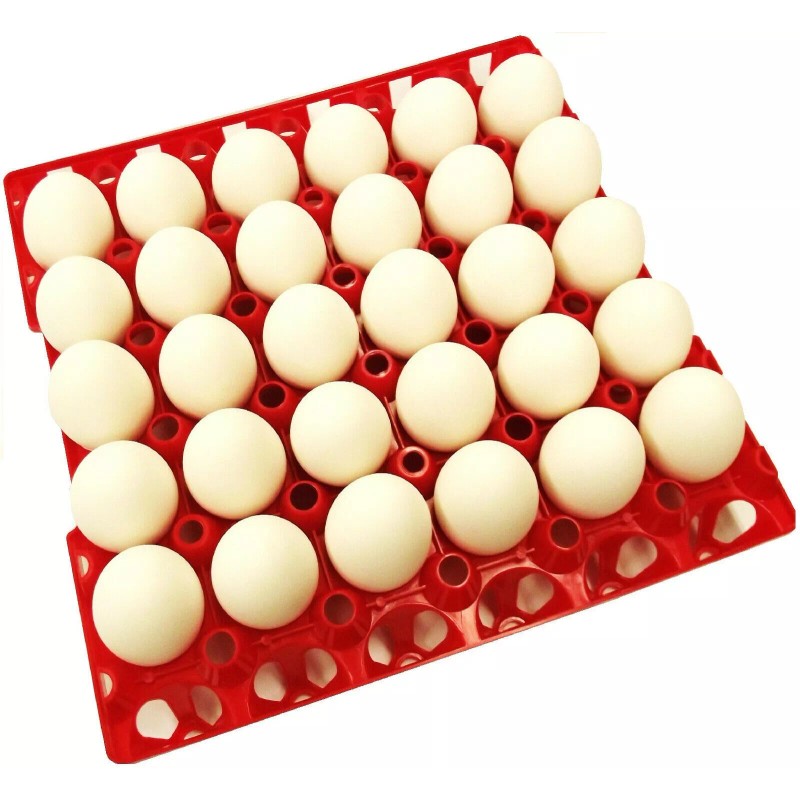 Rite Farm Products 6 RITE FARM PRODUCTS 30 EGG PLASTIC