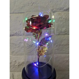 Unbranded Eternal Rose Burgundy Red Rose Beauty n Beast Flower in Glass Dome LED Light