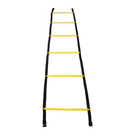 Topyond Agility Ladder, Speed Agility Training Ladder, 8.5ft 6 Rungs Soccer Training Equipment, 2.6m Fixed Agility Ladder Speed Training Equipment for Football Basketball