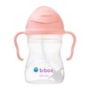 B.Box Sippy Cup - Tutti Frutti