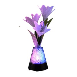 blinkee Fiber Optic Flowers with Light Up Gemstones Centerpiece USB - Slow Color Morphing Lighting Effect - Acryllic