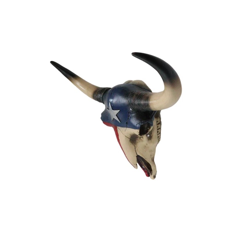 Southwest Longhorn Cow Steer Skull With Texas Lone Star State