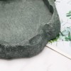 VGOL Reptiles Water Tray Tortoise Feeder Lizard Water Dish Resin