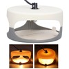 Sticky Dome Flea Capture Trap Bug Trap with 2 Glue