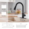 Matte Black Kitchen Faucets with Pull Down Sprayer, Kitchen Sink