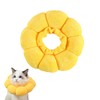 M, Lick Protection Cat, Collar, Cat, Collar, Cats, Collars for