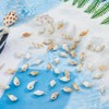 SUPERFINDINGS 60Pcs 6 Styles Conch Seashell Charms Spiral Beach Shell