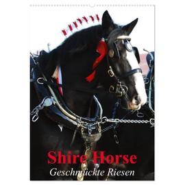 Shire Horse - Geschmückte Riesen (Wandkalender 2026 DIN A2 hoch), CALVENDO Monatskalender: Traditionell geschmückte Shire Horse (CALVENDO Tiere)