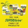 SUPERthrive Plant Vitamin Solution 4 oz. + Organic 4-4-4 All-Purpose