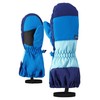 Ziener Unisex - Babies LIWI Ski Gloves for Children, Persian