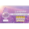 Lavender Little Trees Car Freshener