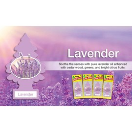 Lavender Little Trees Car Freshener