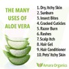 Amara Organics Aloe Vera Gel from Organic Cold Pressed Aloe,