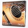 Adagio Pro 12-String Acoustic Guitar Strings (12 String) - Bronze