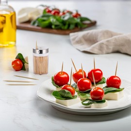 10 Botes Palillos De Dientes De Madera Dispensador Elegante