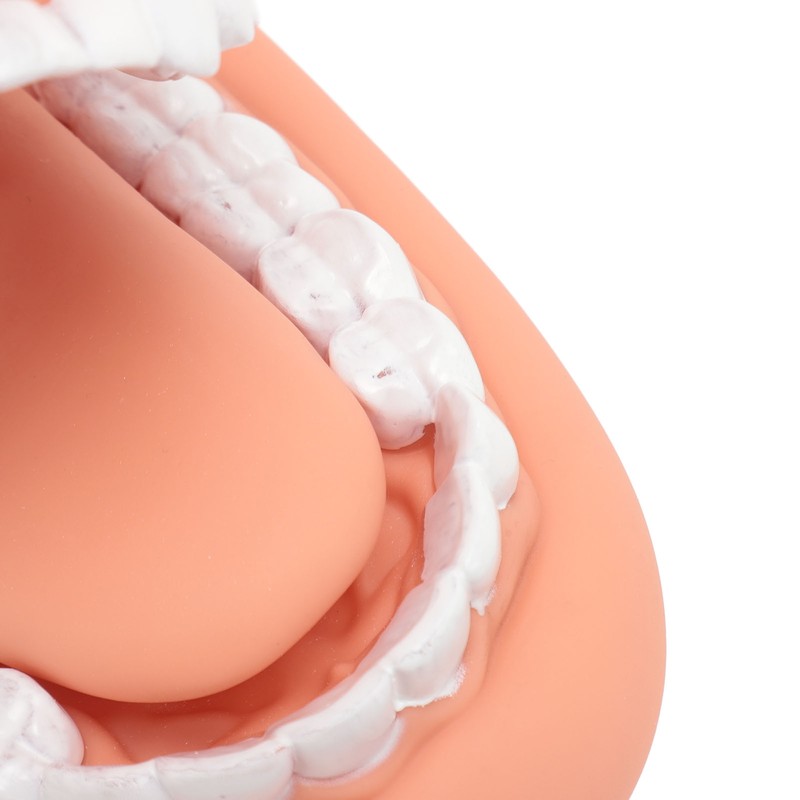 Mouth Puppet with Tongue 28 Teeth Silicone Speech Therapy Demonstration