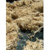 TrueSeaMoss Natural Sea Moss 8oz 100% Wildcrafted Caribbean Seamoss Superfood