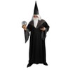 Men's Full Figure Wizard Black Costume Robe With Hat