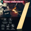 3/16" x 2" Brass Flat Bar Blank 12" Long Solid