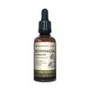 Harmonic Arts Echinacea Angustifolia Tincture, 50 mL