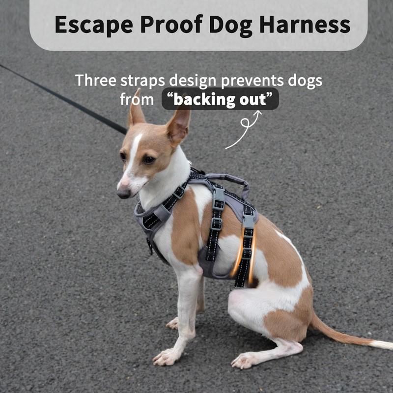 Huntboo Reflective Dog Harness with Handle, Escape Proof, No Slip,