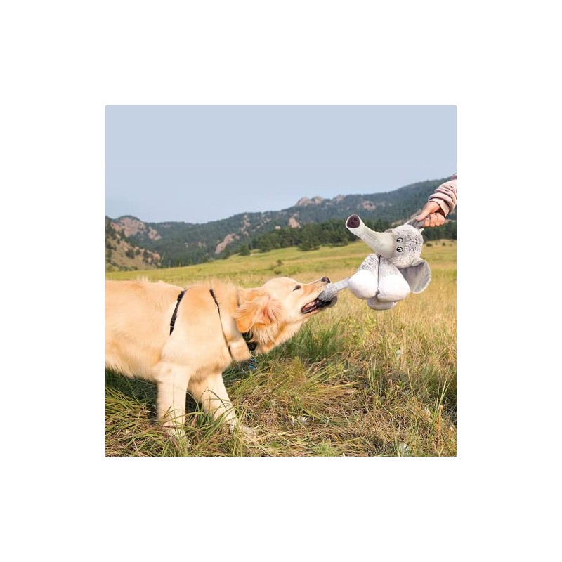 KONG Stretchezz Legz Bear Dog Toy, Large Multicolour