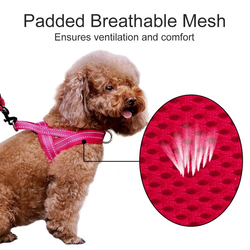 Plutus Pet No Pull Dog Harness with Breathable Mesh Padded,