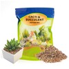 Doter Succulent & Cactus Soil Potting Mix 1qt, Chunky Dirt