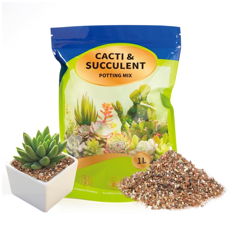 Doter Succulent & Cactus Soil Potting Mix 1qt, Chunky Dirt